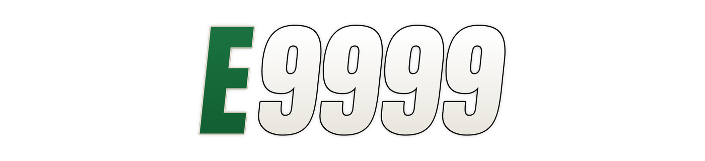 e9999 লোগো